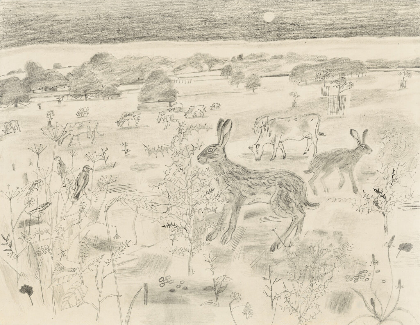 A pencil drawing depicting a rural landscape with grazing cows and two hares. The foreground features wildflowers and grasses, while the background shows a vast field under a twilight sky, with trees and a hint of a setting sun.