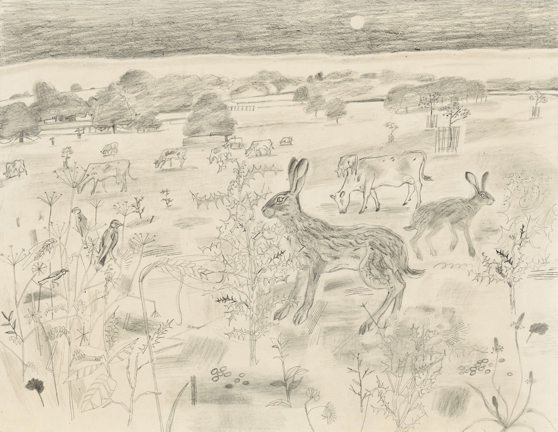 A pencil drawing depicting a rural landscape with grazing cows and two hares. The foreground features wildflowers and grasses, while the background shows a vast field under a twilight sky, with trees and a hint of a setting sun.
