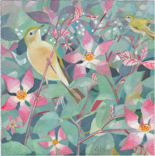 Artistic illustration of two garden birds, foliage and flowers with a colourful background.