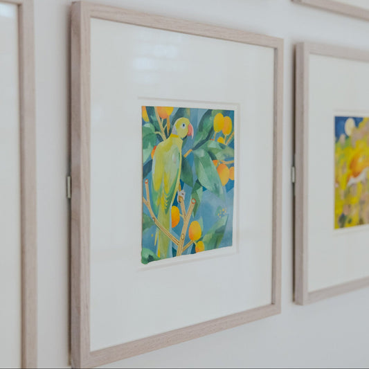 Framed artworks on a wall, including a painting of a parrot and flowers.