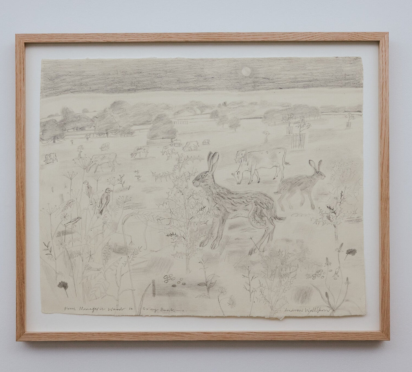 Andrew Waddington: From Menagerie Wood to Oxley Bank