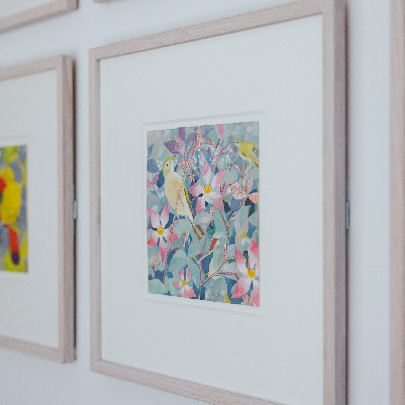 Andrew Waddington: Rosa