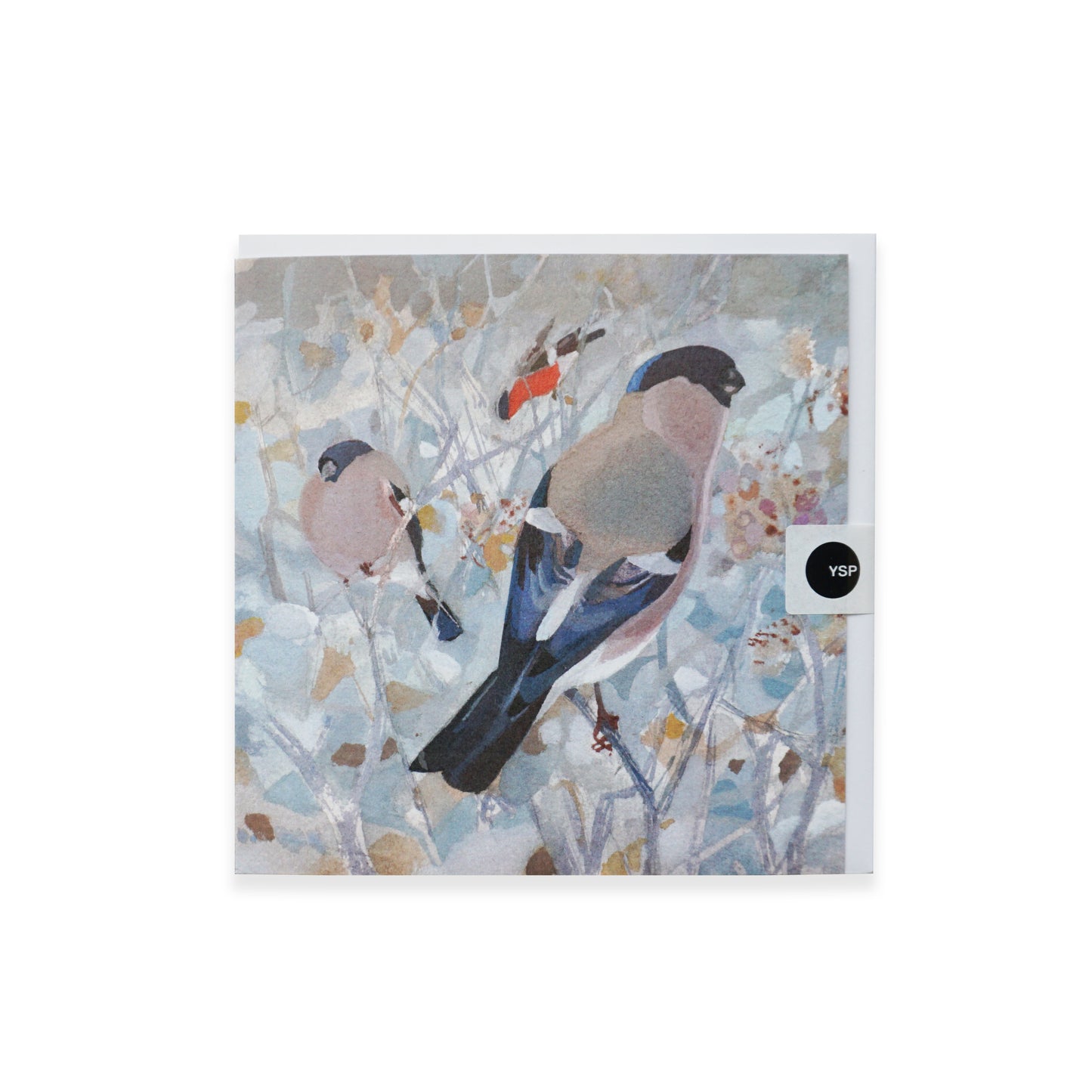 Greetings Card with bird illustration on a white background