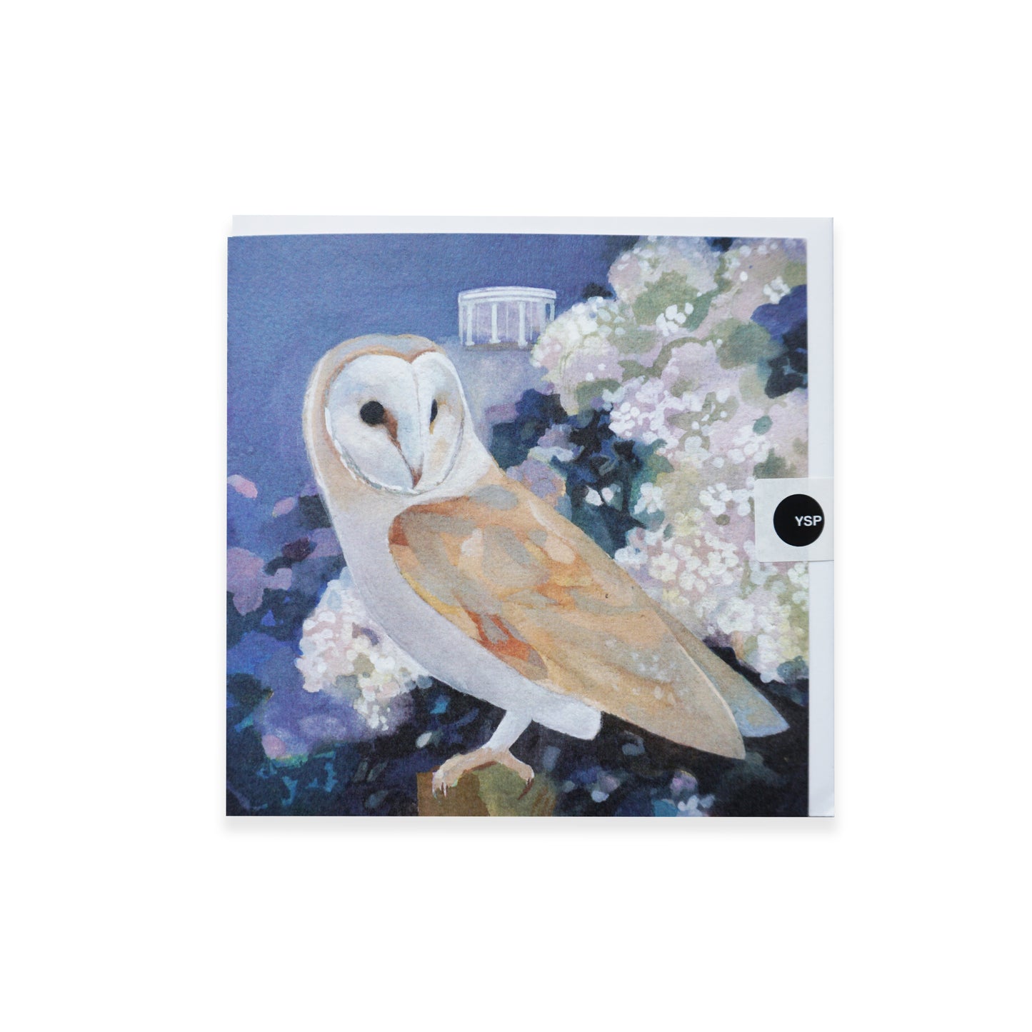 Greeting card with an owl design on a white background