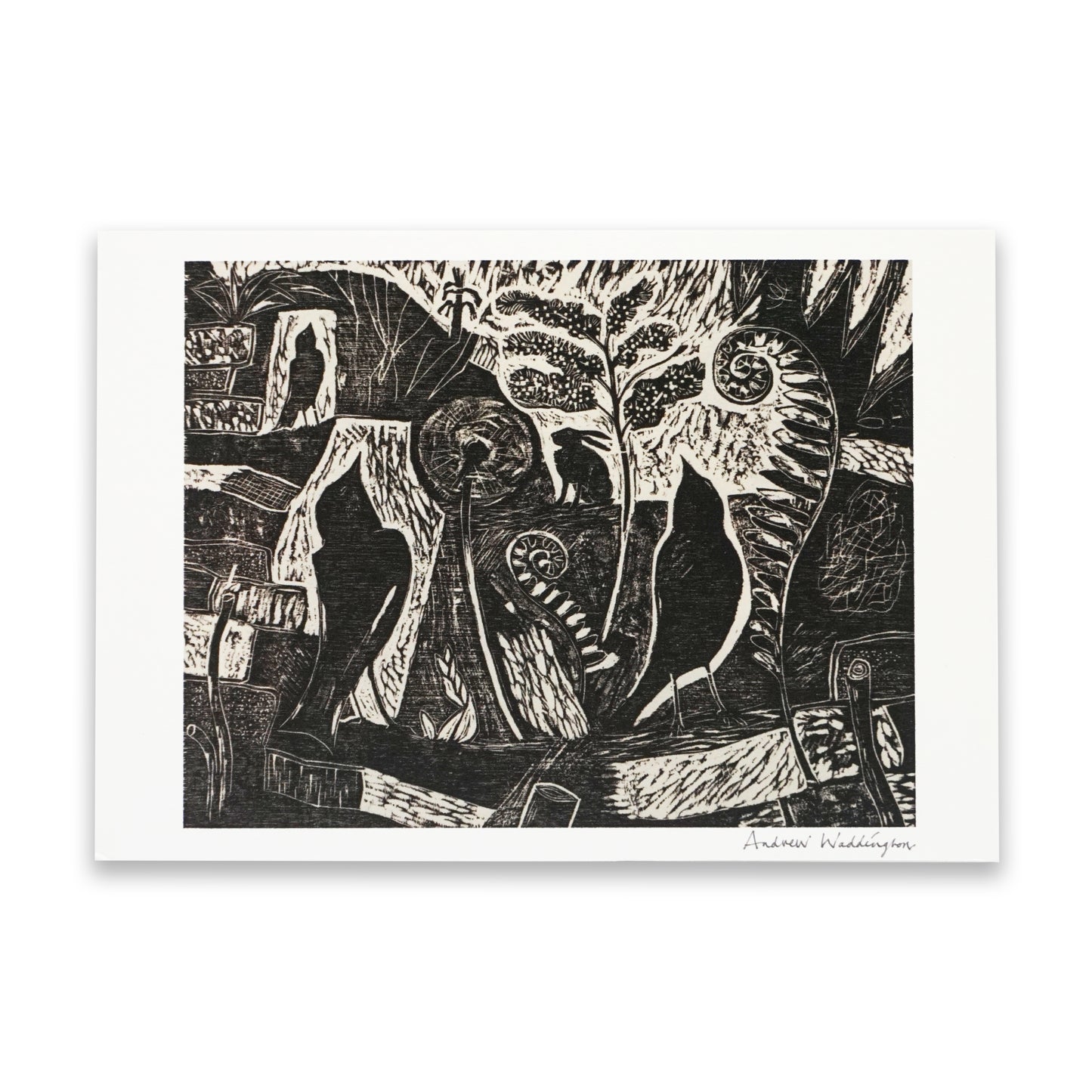 Black and white artwork of birds in a forest setting on a white background