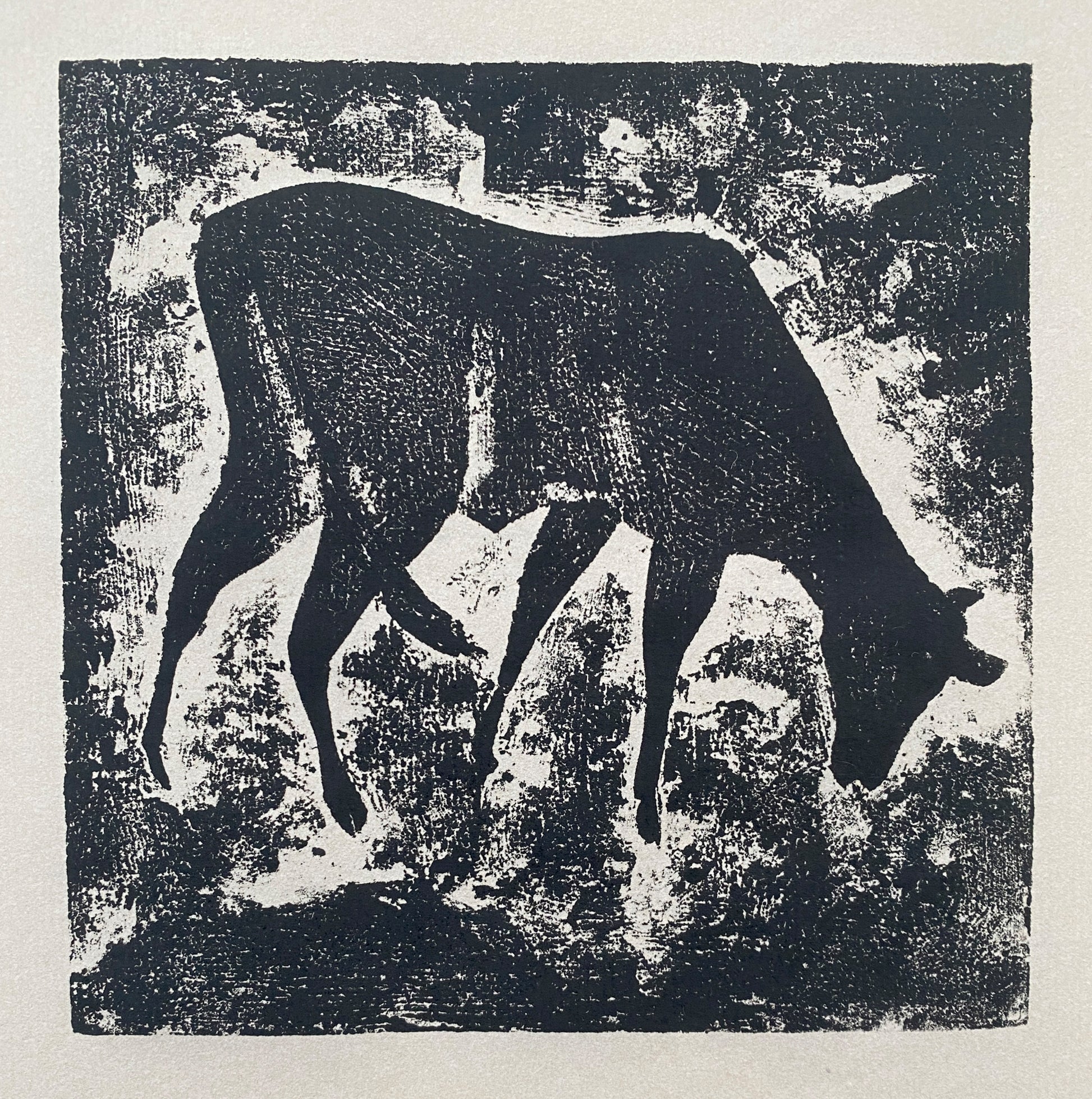A black wood cut print with a single cow feeding with a textured background.