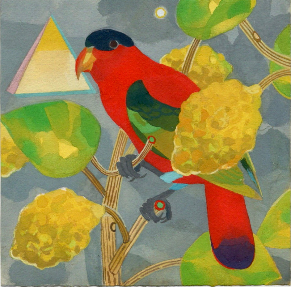 Colourful red parrot illustration on a textured background with green and yellow leaves and fruit surrounding it. 