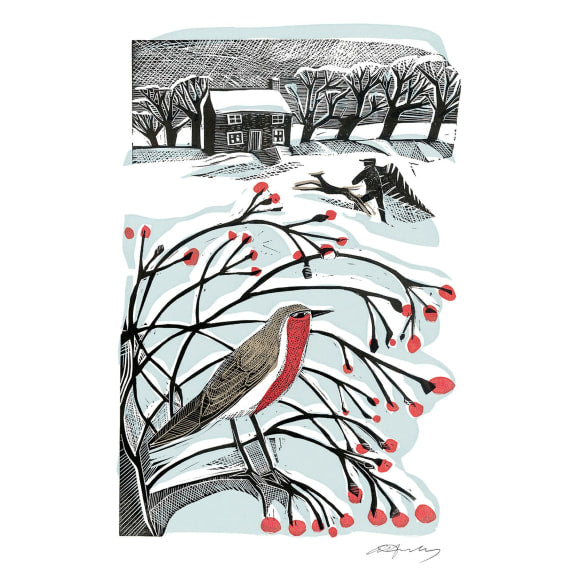 A card featuring a winter scene with a robin on a branch, house, and trees in the background.