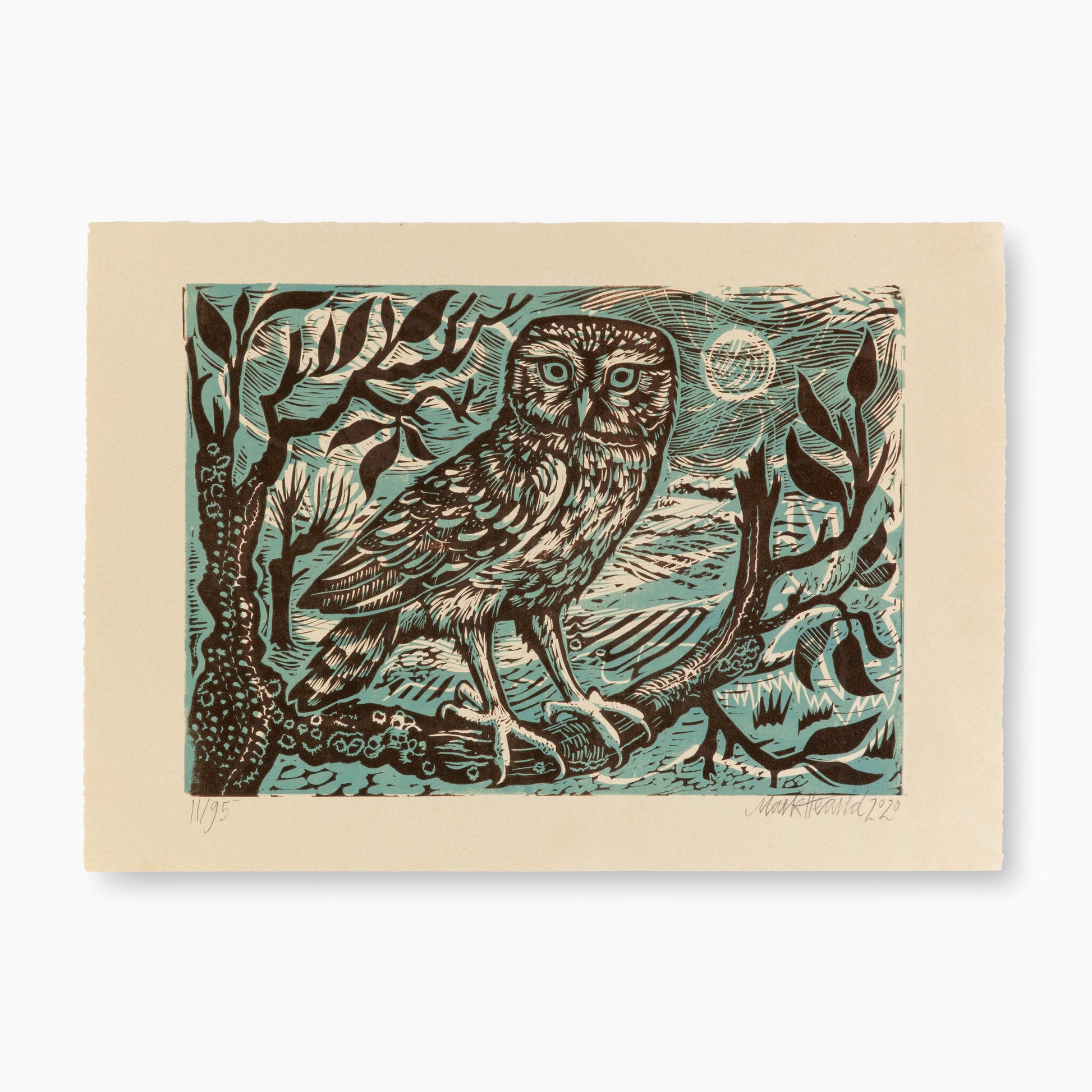 A detailed print of an owl perched on a branch, surrounded by stylised trees and a moonlit sky. The owl has large, expressive eyes and intricate feather patterns, with a colour palette of earthy tones and blues.