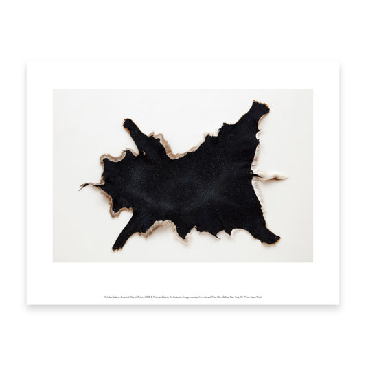 A dark, textured hide with a starry pattern, featuring soft, light-coloured fur along the edges. The hide is irregularly shaped and displayed against a plain white background, highlighting its unique design and natural beauty.
