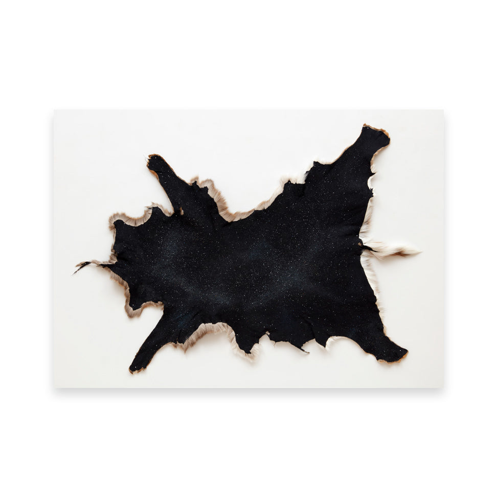 A dark, textured hide with a starry pattern, featuring soft, light-coloured fur along the edges. The hide is irregularly shaped and displayed against a plain white background, highlighting its unique design and natural beauty.
