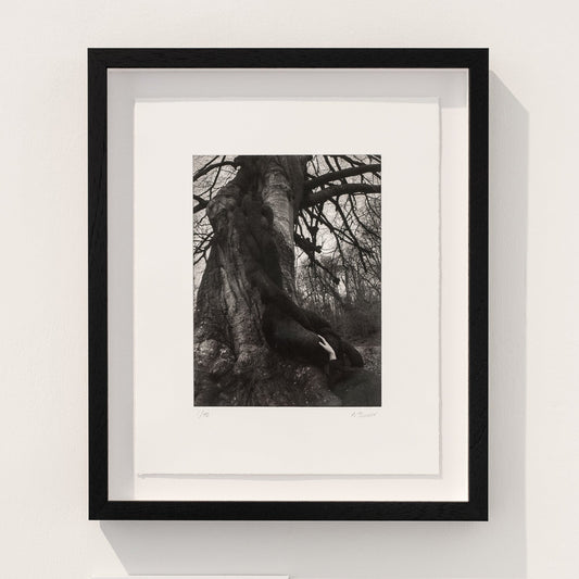 A black and white print titled "Whisper's Whisper" by Nicola Turner, framed in black. It depicts a serene natural scene with a tree and a figure resting against it. 