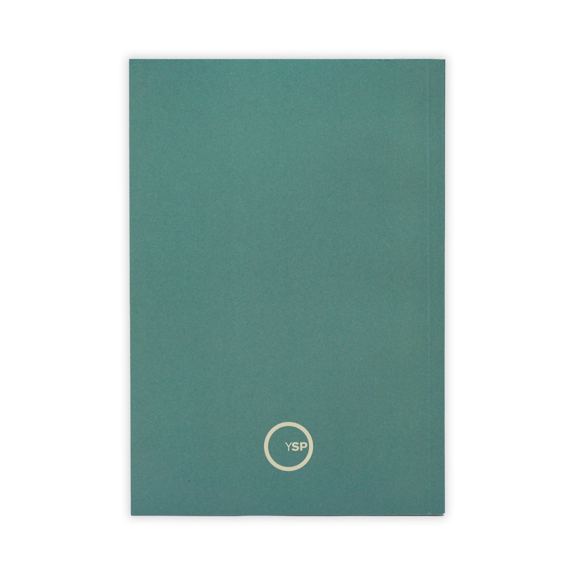 Back of a turquoise book with a logo on a white background