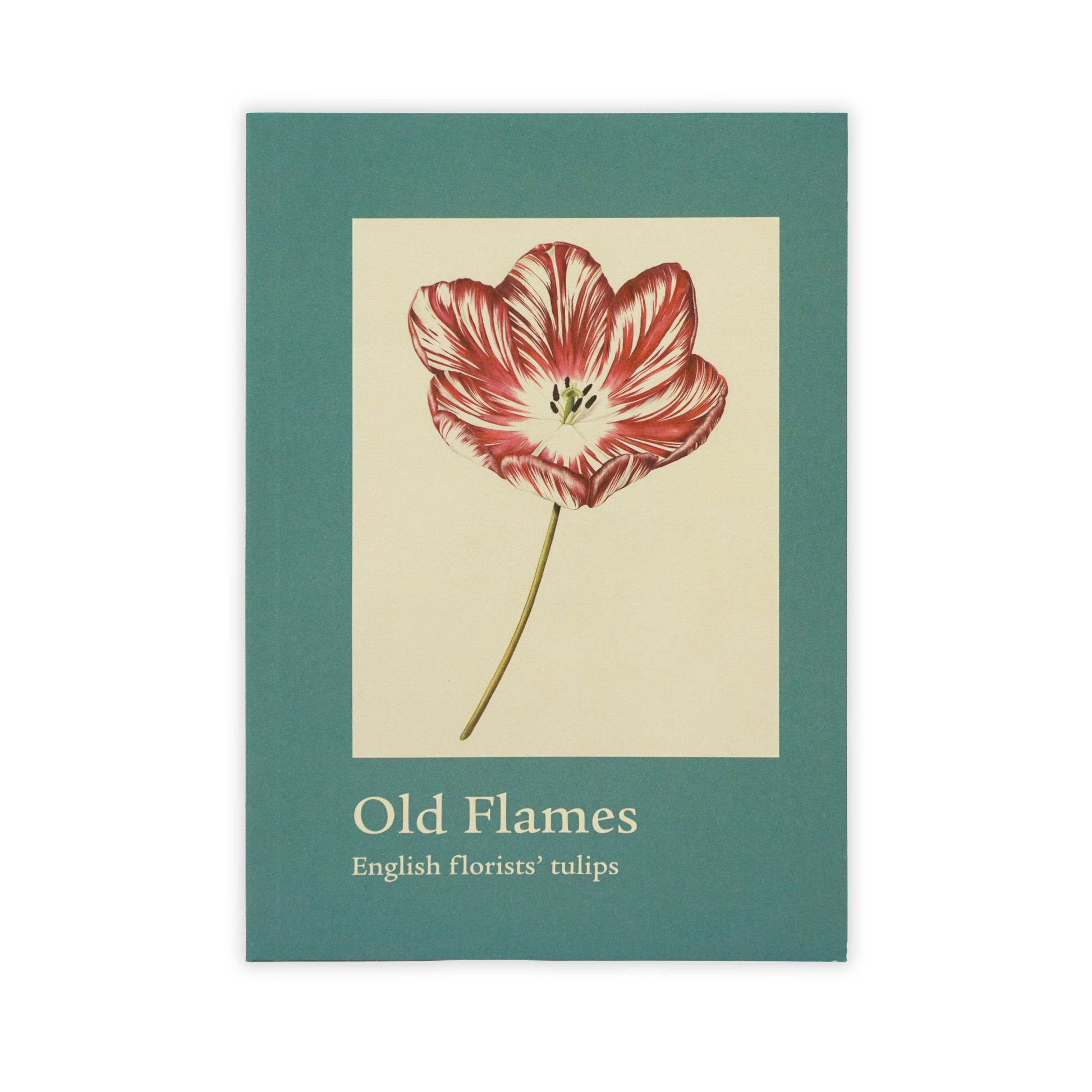 Turquoise book cover featuring an illustration of a red tulip.