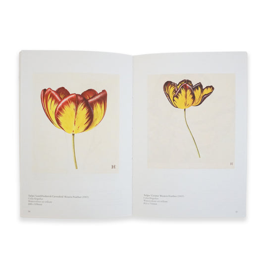 Open book featuring minimal text and two illustrations of tulips
