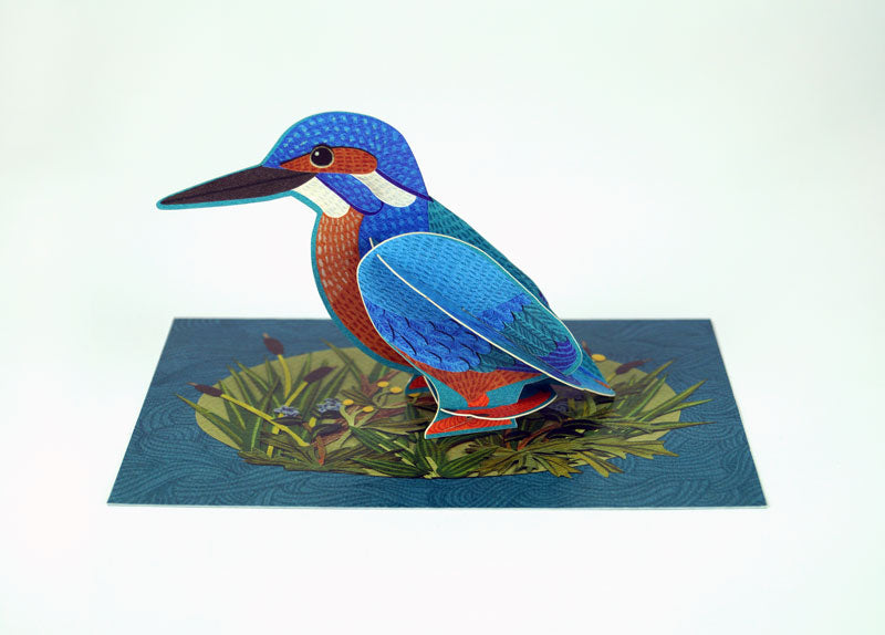A vibrant pop-up card featuring a detailed illustration of a kingfisher. The bird, with its striking blue and orange plumage, stands on a grassy nest against a textured blue background, showcasing intricate patterns and colours.