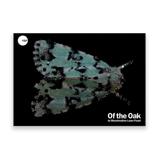 Marshmallow Laser Feast: Postcard Pack