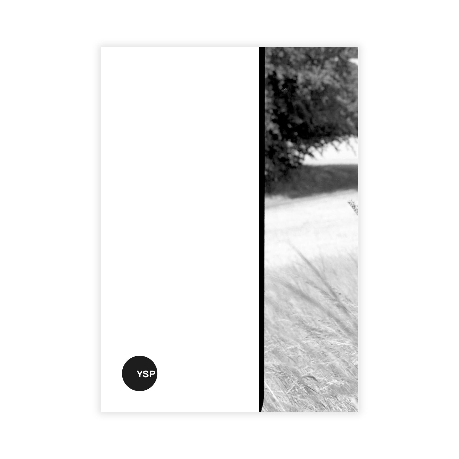 Black and white landscape with a tree and grass, featuring the brand 'YSP'.
