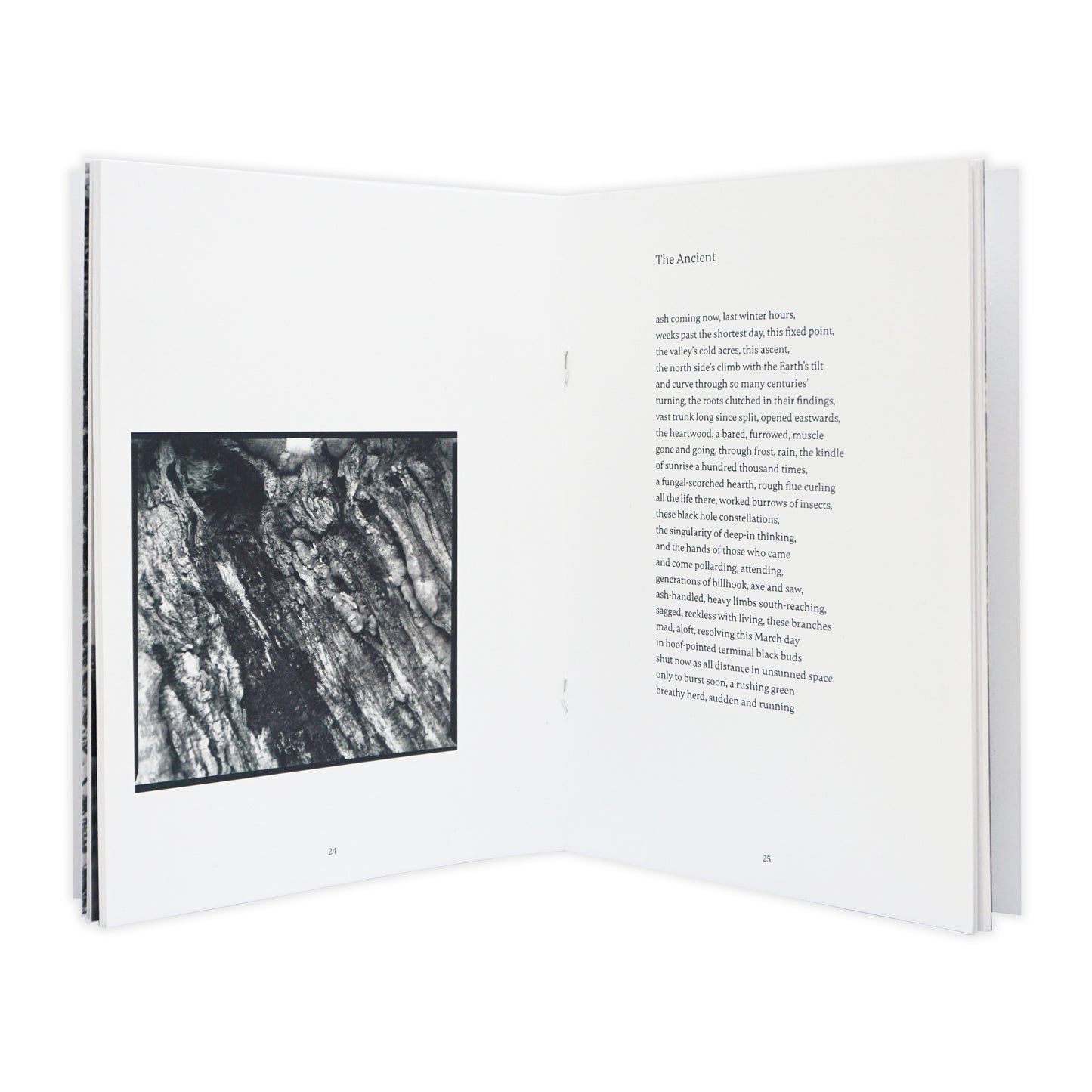 Open book with a black and white photograph on the left page and text on the right page.
