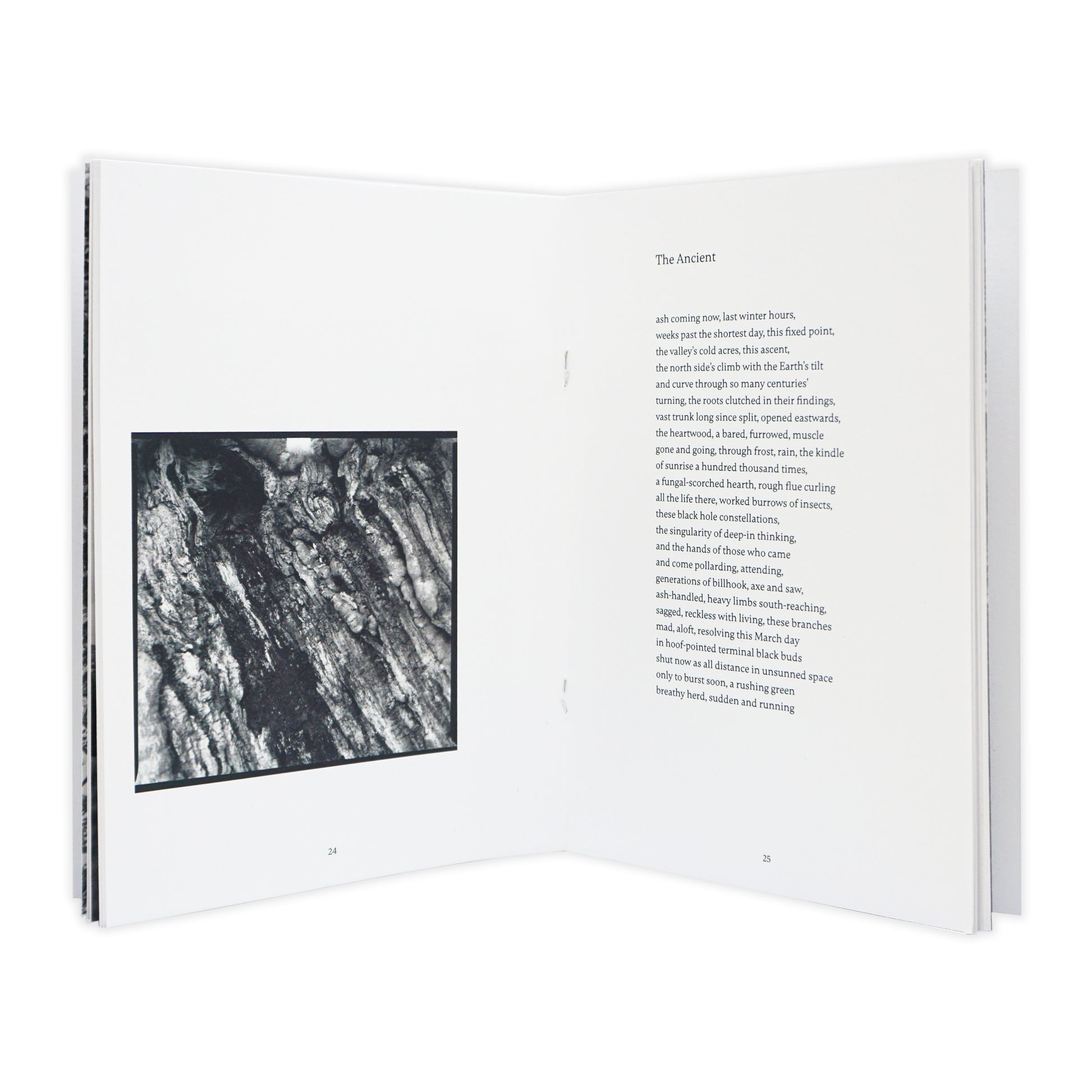 Open book with a black and white photograph on the left page and text on the right page.