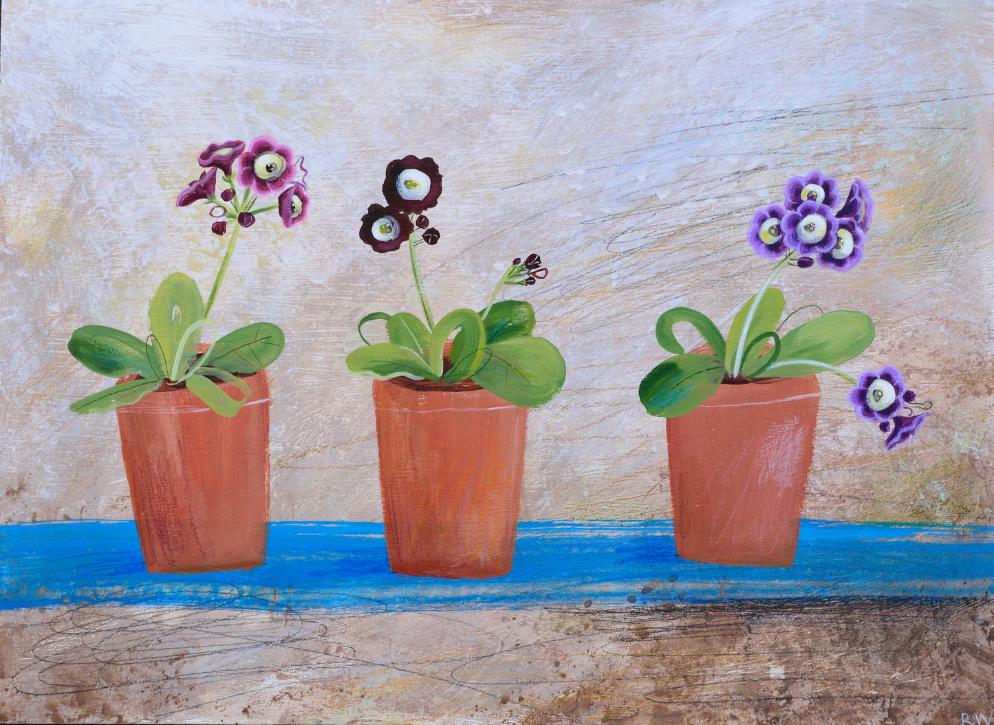 Russell Wilson: Auriculas At Calke