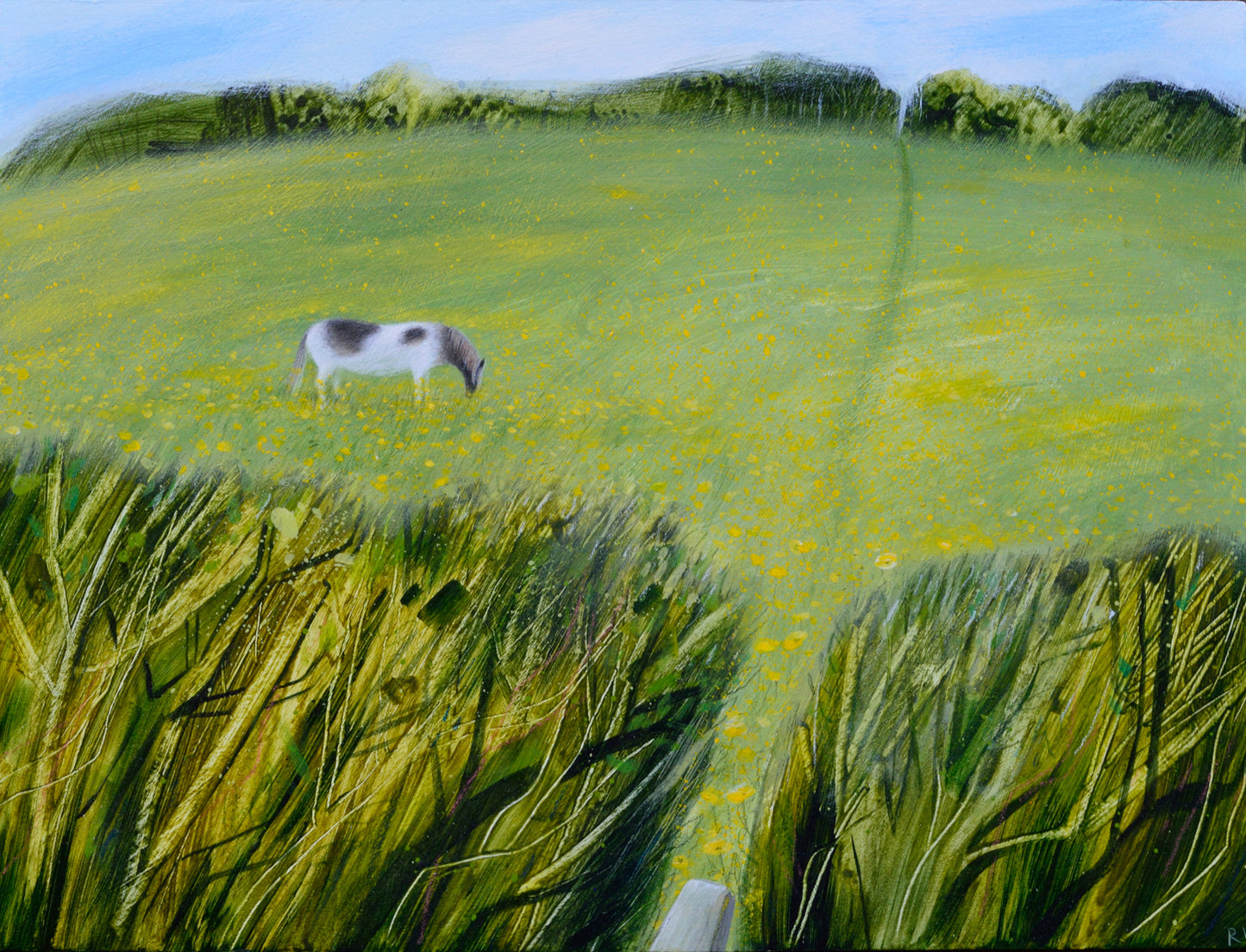 Russell Wilson: The Path Through The Buttercup Field