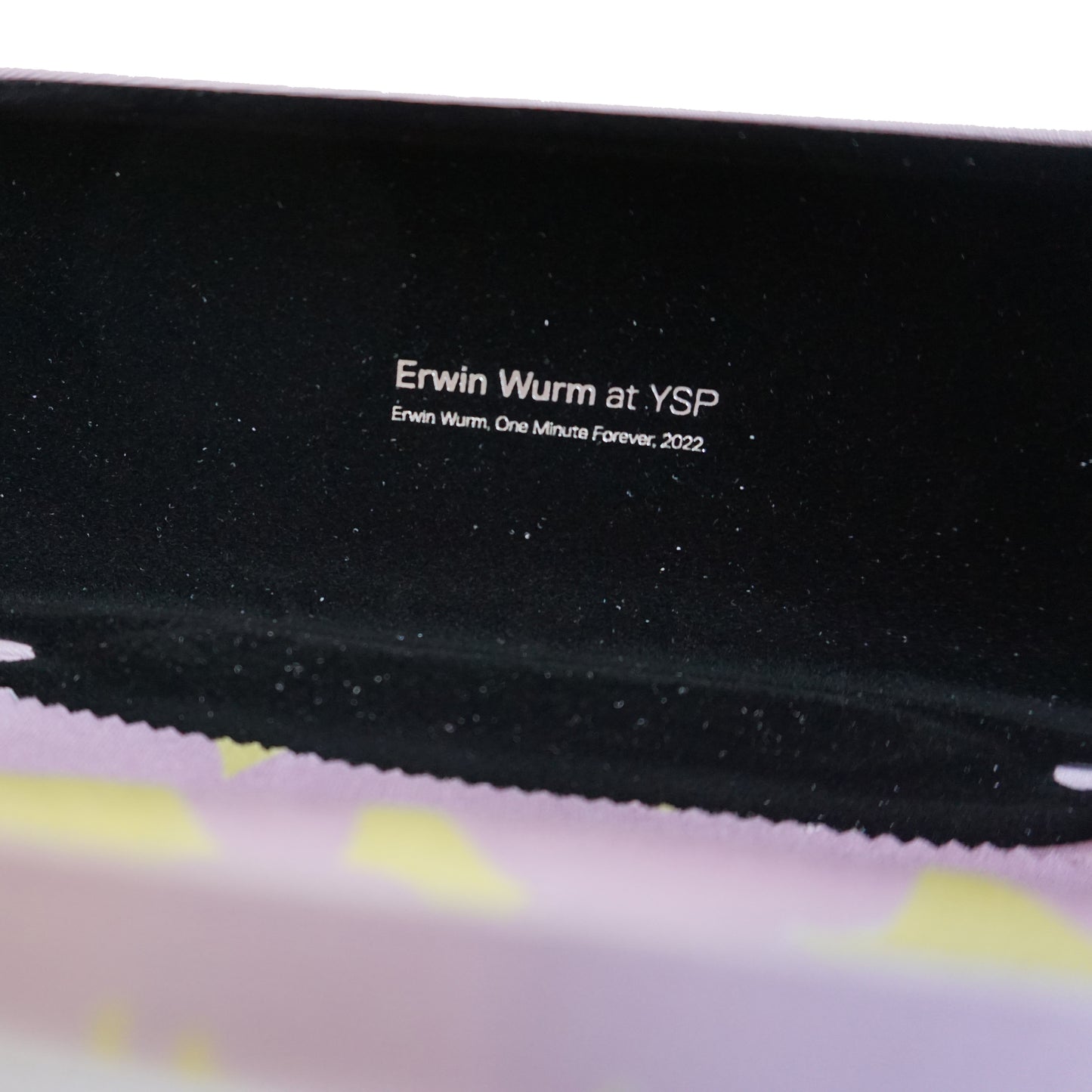 Erwin Wurm: Glasses Case