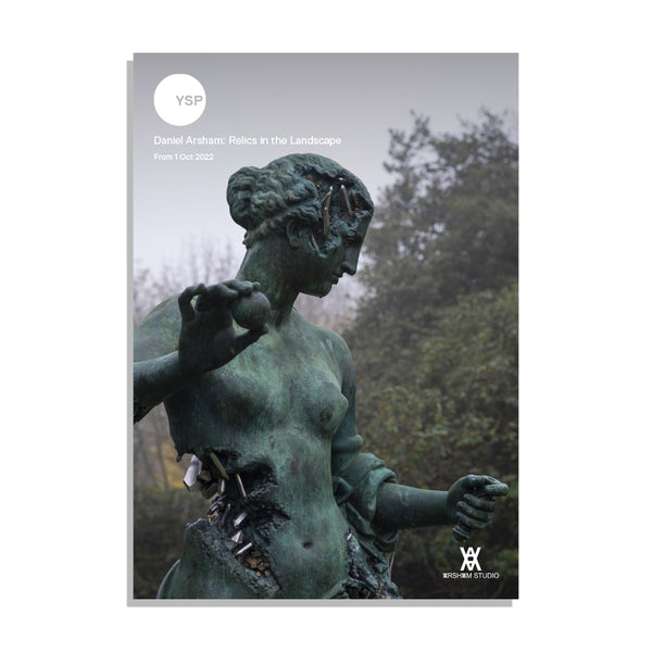 Daniel Arsham: A1 Poster – Yorkshire Sculpture Park Online Shop