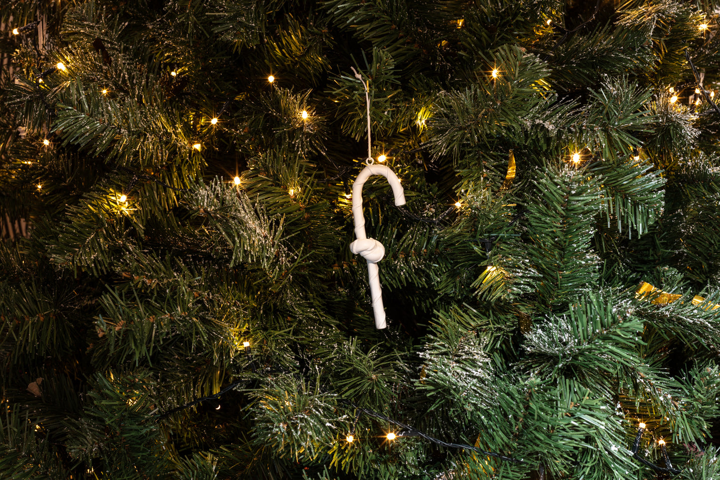 A close-up of a Christmas tree adorned with twinkling lights. In the centre, a white candy cane ornament hangs among the lush green branches, adding a festive touch to the scene. The overall atmosphere is warm and inviting.