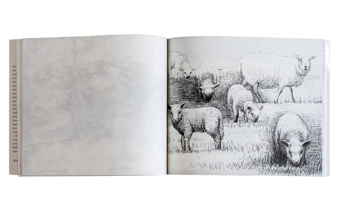 A black and white illustration of several sheep grazing in a grassy field, depicted in a sketch style. The left page is blank, while the right page features the sheep, showcasing their woolly coats and natural poses.