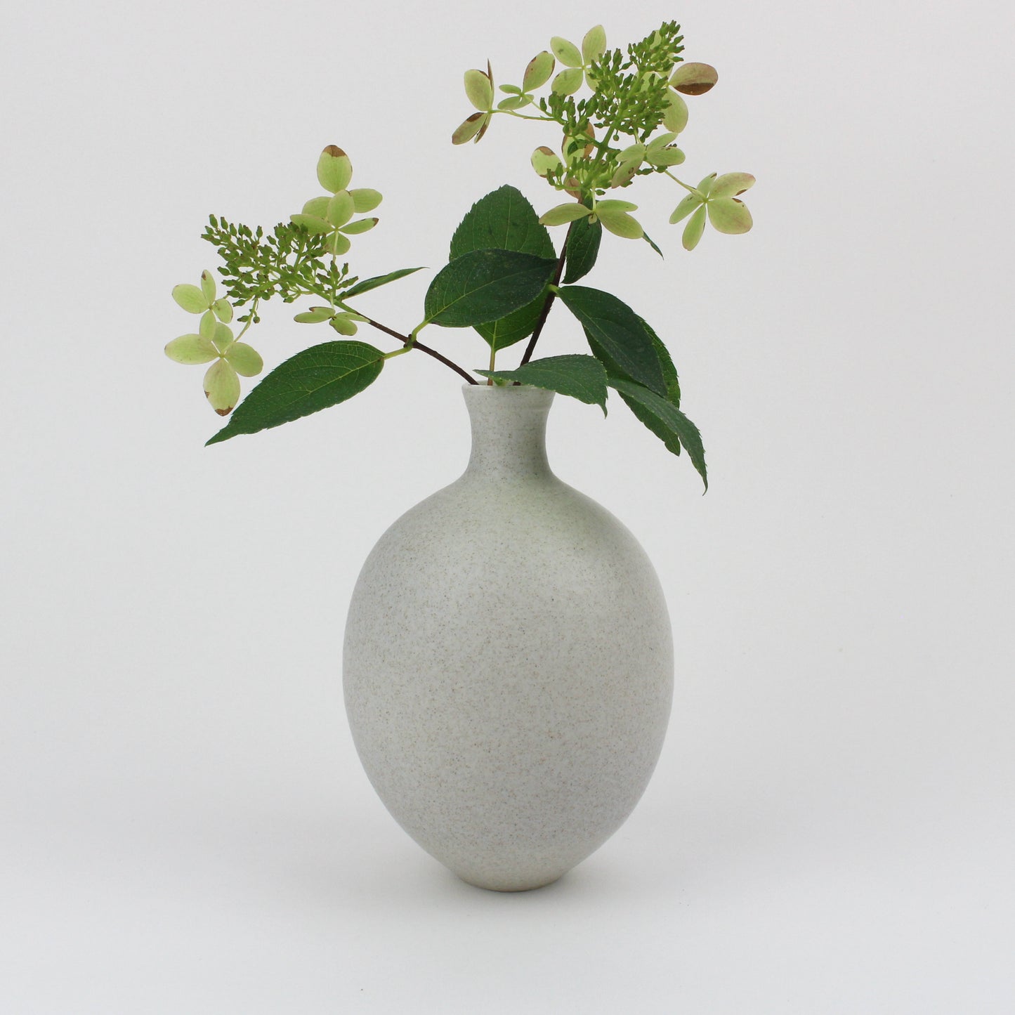 Lucy Burley Oval Vase