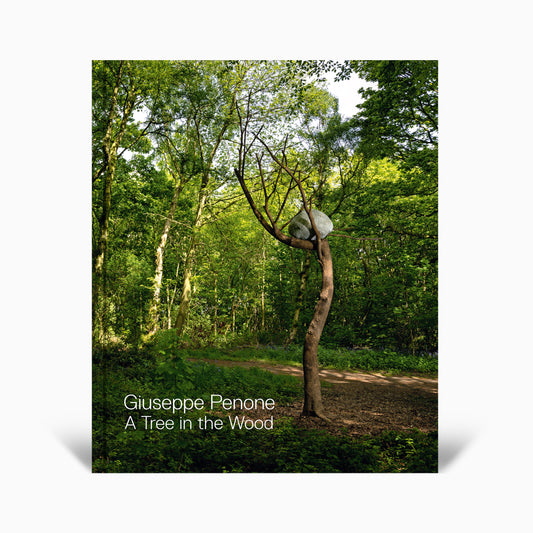Giuseppe Penone: A Tree in the Wood