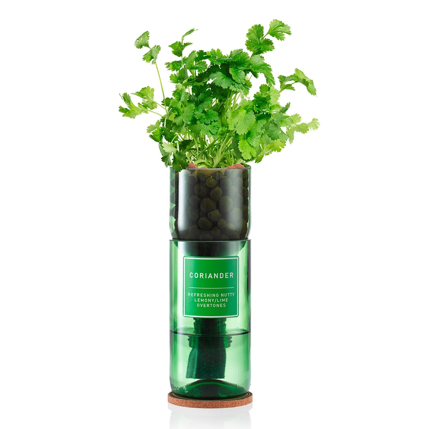 Hydro-Herb Kit