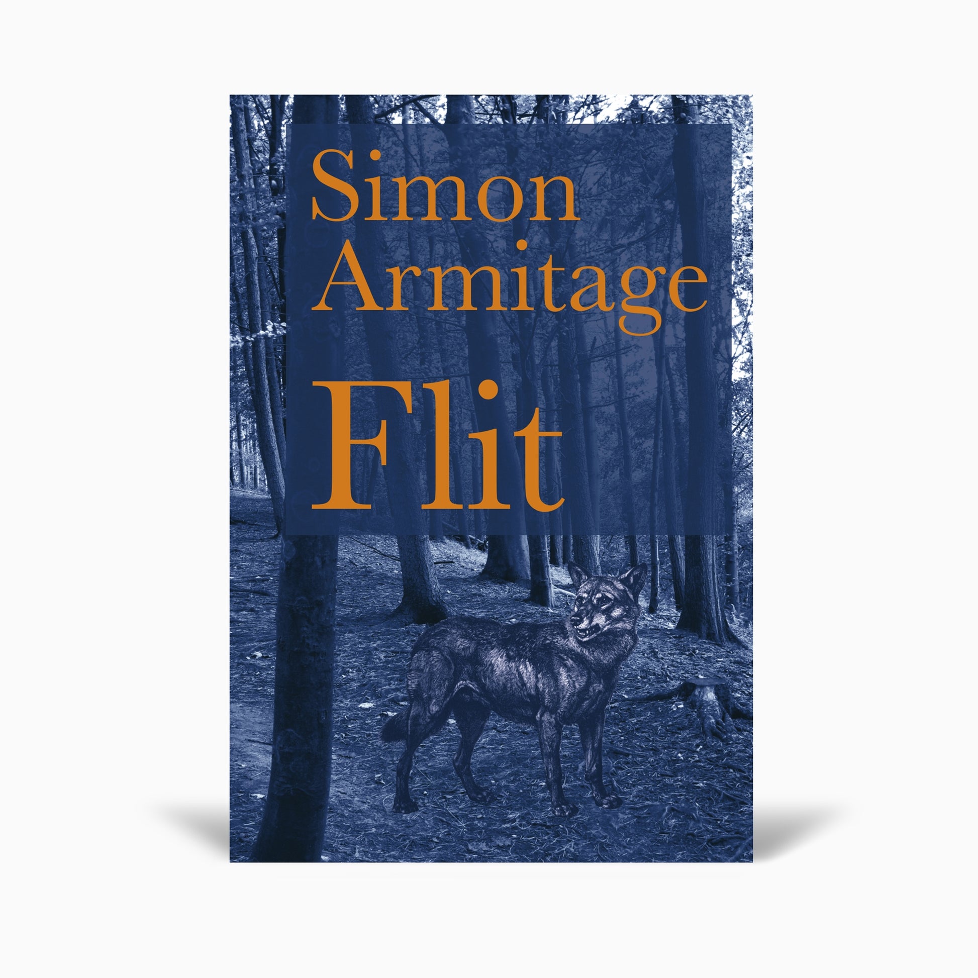 A book cover featuring the title "Flit" by Simon Armitage. The background shows a dark, wooded area with a wolf standing prominently. The title and author's name are displayed in bold orange text against a blue overlay.